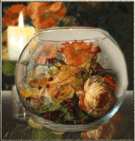 GIFS FLEURS