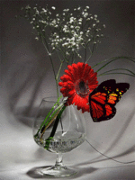 1112968e.gif