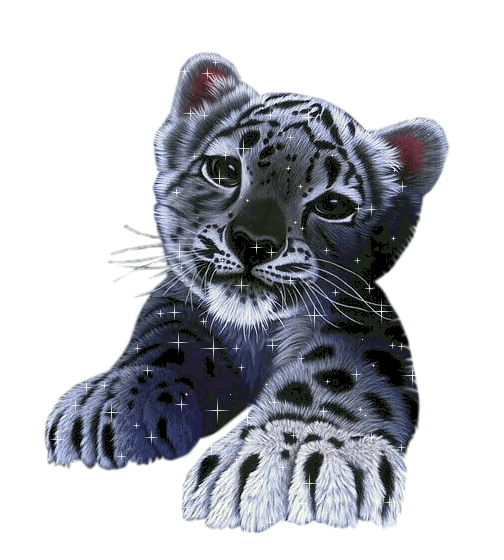 GIFS TIGRE