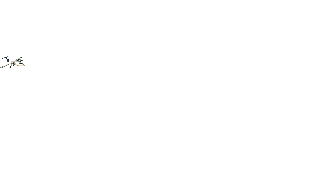 GIFS AVION