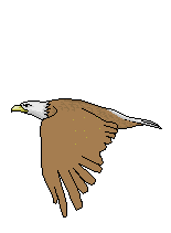 GIFS ( OISEAUX )
