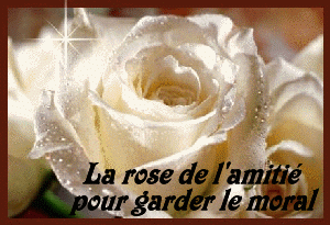 Samedi 13 juillet 75599edf