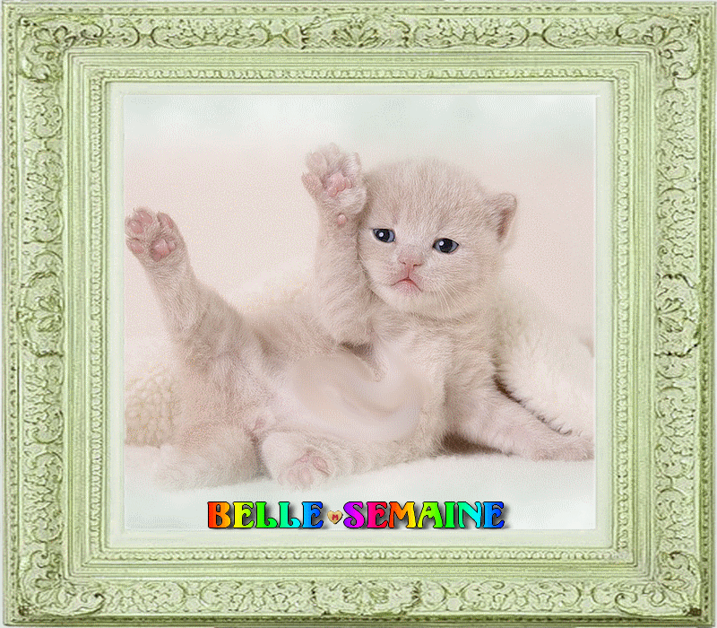 GIFS BONNE SEMAINE, BELLE SEMAINE