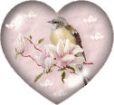 GIFS COEUR